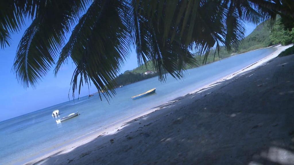 Seychelles Anse Boileau Kültér fotó